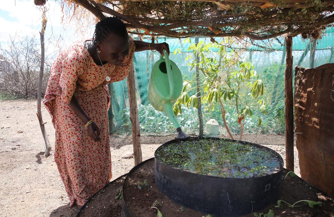 기후스마트농법으로 작물들이 건강하게 자라고 있는 폴린 씨의 타워형 텃밭